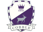 Cobblestone Pin image